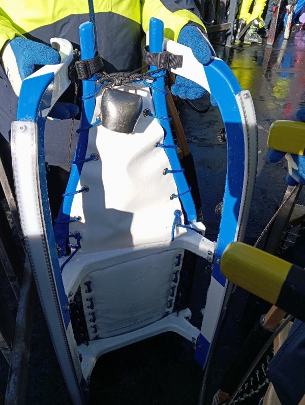 Lindauer Schlitten mit Kuhschelle!